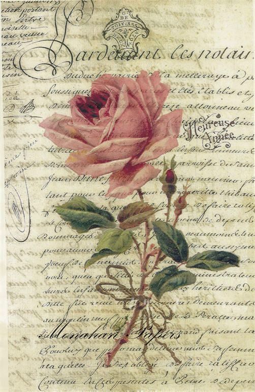 Threaded Rice Papers